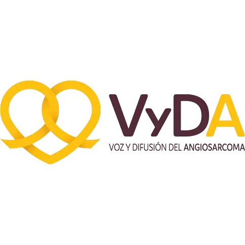 Logo VyDA